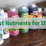 Best Nutrients for DWC