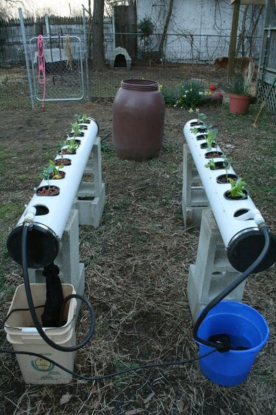 cheap hydroponic system for weed